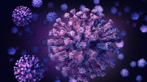 Kecepatan penyebaran b117 menunjukkan varian ini membawa fitur biologis tertentu atau mutasi dalam genomnya yang membuatnya lebih menular. Fakta Mutasi Virus Corona B117 Dari Inggris Yang Sudah Masuk Ke Indonesia Benarkah Lebih Menular Tribunnews Com Mobile