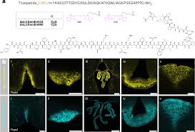 Anna Schmidt - Arousal in Every Image