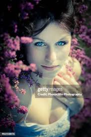 179 Lucky Heather Stock Photos, High-Res Pictures, and Images