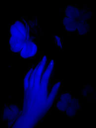 Discover (and save!) your own pins on pinterest Blue Dark Blue Aesthetic Pictures Novocom Top