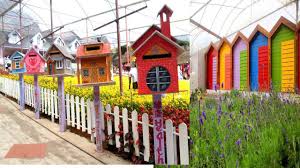Cameron highlands lavender garden outdoor decor flowers charlotte image royal icing flowers flower florals. Things To Do In The Cameron Lavender Garden Youtube