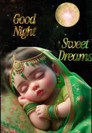 🌹🌹 Good Night Dear Friends🌹🌹 #travellerbharat #goodnight