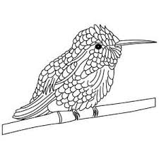 Check spelling or type a new query. Pin On Bird Transfers
