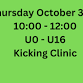 Oct 30th Kicking Clinic event image