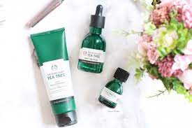 Jerawat adalah masalah kulit yang sangat sering dialami oleh para wanita. 5 Skincare Ini Ampuh Atasi Jerawat