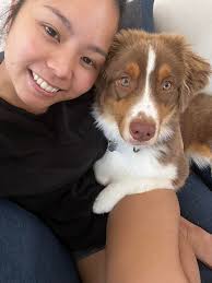 Anyone know any good dog trainers that help with dogs that bite ? Please  lmk I don't want to have to get rid of her I love her so much pic of