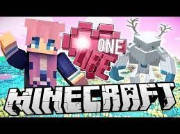 Get a free private minecraft server with tynker. Magic Wands Pets Ep 6 Minecraft One Life 2 0 Ldshadowlady Minecraft Minecraft Mods