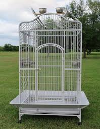 Plastic Bird Cage Seed Catcher New Large Open Dome Play Top Bird Parrot Wrought Iron Cage Include Metal Seed Guard Solid Metal Feeder Nest Doors For Sale Parrot Cage Large Bird Cages Macaw Cage