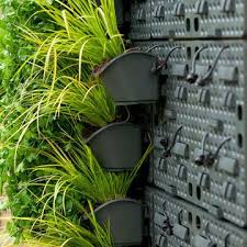 Holman Greenwall Vertical Planting Kit Vertical Garden Vertical Planting Vertical Garden Design