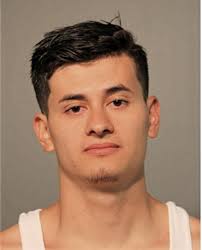 ᐅ Illinois Criminal Records 2009-2025