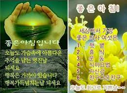 한국인 성질머리가 드러나는 백신 접종률 짤. ì•„ë²„ë‹˜ì€ ì´ëŸ° ì§¤ì„ ì™œ ìžê¾¸ ë³´ë‚´ì‹¤ê¹Œ