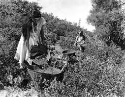 Tachi Yokut Tribe The Indians Of The San Joaquin Valley Were Known As Yokuts Native American Photos Native American History Native American Peoples