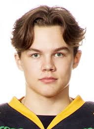 Axel Sandin-Pellika Hockey Stats and Profile at hockeydb.com