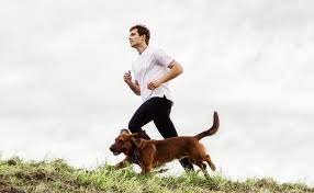 Dog's love to learn and it gave us, as a team, a foundation. Running With A Dog 9 Helpful Tips From An Expert