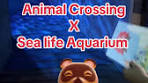 Animal Crossing Event at Sea Life in The Hague, Netherlands - TikTok