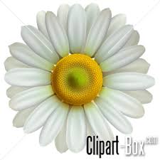 Clipart Daisy Flower Daisy Flower Daisy