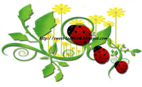 Ladybird S Life Antibiotik Oh Antibiotik