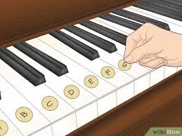 Ich habe sie mit meinem riesengroßen notensatz für powerpoint erstellt. Auf Einem Klavier Oder Keyboard Den Flohwalzer Spielen Wikihow