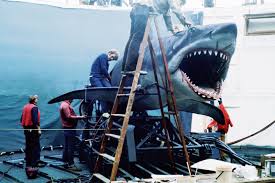Amazing behind the scenes photos from the making of the film 'Jaws', 1975 -  Rare Historical Photos