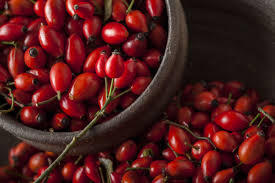Stop and smell the roses with these five tips on rose essential oil! 7 Amazing Rosehip Oil Skin Benefits What Is Rosehip Seed Oil Good For