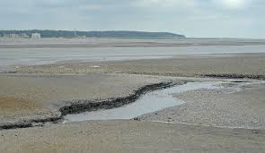 Bitte wählen sie einen ort aus alle orte anzeigen buxtehude cadenberge cuxhaven helgoland hemmoor himmelpforten. Priel Und Muschelbank Im Watt Zwischen Der Insel Neuwerk Und Cuxhaven Sahlenburg Links Am Horizont Foto Bild World Hamburg Natur Bilder Auf Fotocommunity