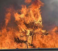 We did not find results for: Raging Fire In Maui Forces Evacuations The Seattle Times