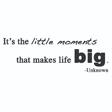 Little Moments Quotes Quotesgram