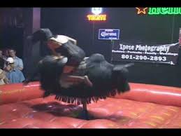 By terry lidral the bucking bull. Lingerie Bull Riding Youtube
