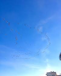 Doga Nature Naturephoografe Kadrajimdan Gezginler Trekking Karadeniz Huzur Instagram Photooftheda Turkey Photography Photography Trov Celestial Outdoor Clouds