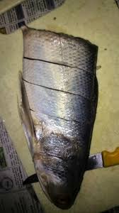Bahan ikan senangin 1 biji bawang besar 6 biji bawang putih 3 biji cili hijau 3 biji cili merah 1 biji tomato halia daun. Namakucella Kari Sedap Ikan Senangin