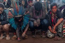 Check spelling or type a new query. Guarani Mbya Win Reprieve From Deforestation