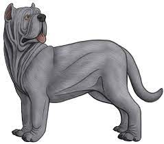 Use these mastiff drawing pillows to accent any living room or bedroom. Neapolitan Mastiff Drawing Google Search Neapolitan Mastiffs Drawings Lion Sculpture