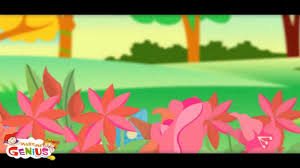 There are two types of flowers: Parts Of A Plant For Kids Functions Of Different Parts Of Plants Youtube