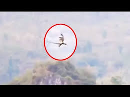 The chinese dragon is a mythical creature. Real Life Dragon Caught On Tape Above China Youtube