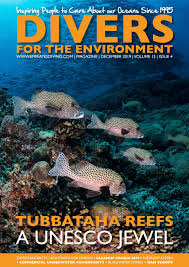 Top fin medium coral aquarium ornament coral 1. Divers For The Environment December 2019 By Divers For The Environment Issuu