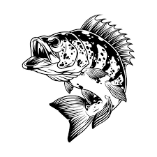 23 Fishing T Shirt Design Fish Vector Fish Illustration Fish Design