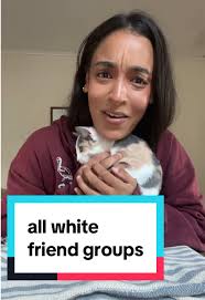 Exploring Diversity in NYC Friend Groups