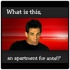 Funny Renting Apartment Zoolander Realtor Humor Memes Credit Repair