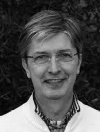 An MLOps Framework for GAN-based Fault Detection in Bonfiglioli's EVO Plant