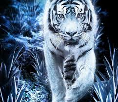 31 Gambar Keren 3d Hewan Pin Oleh Wahyuarjaku Di Pangeran Harimau Putih Harimau Wallpapers Singa 3d Wallpaper Cave 810 Gambar Hew Di 2020 Hewan Gambar Gambar Hewan