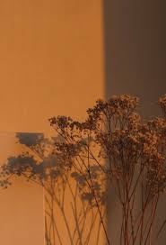 Check spelling or type a new query. Hotel Penginapan On Twitter White Aesthetic Pengambilan Foto Dg Tema Ini Harus Dominasi Warna Putih 60 80 Ya Bisa Di Mil Dg Warna Lain Yg Senada Seperti Coklat Muda Jgn Terlalu Kontras Warna