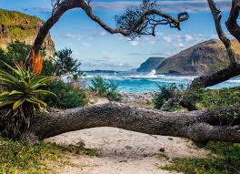 Things To Do In Cape Town South Africa Beautiful Places To Visit Thrillist South Africa Travel South African Holidays Africa Holiday