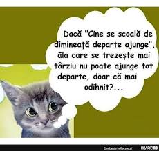 Dacă Cine Se Scoală De Dimineaţă Hilaric Ro