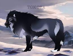Pin On Tokota