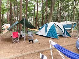 recampしょうなんキャンプ体験ブログ サイトの広さ 駐車場等詳細レポ テント キャンプ キャンプ場