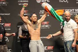 Some people just like watching the biggest men try to knock each other out. The Ultimate Guide To Mma Weight Classes Attack The Back