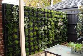 Unlike other privacy fencing ideas, slat fencing is typically installed with gaps between the fencing bars. Hanging Plants On Fence Ideas Homes Of Heaven