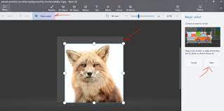 Use the zoom in/out bar and adjust it so that the required object covers most of the screen. Paint 3d How To Remove Background To Make An Image Transparent