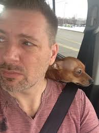 Vote: Who Took The Best Pet Selfie?