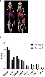 Du offers fixed line, mobile telephony. Targeted Beta Therapy Of Prostate Cancer With 177 Lu Labelled Miltuximab Antibody Against Glypican 1 Gpc 1 Ejnmmi Research Full Text